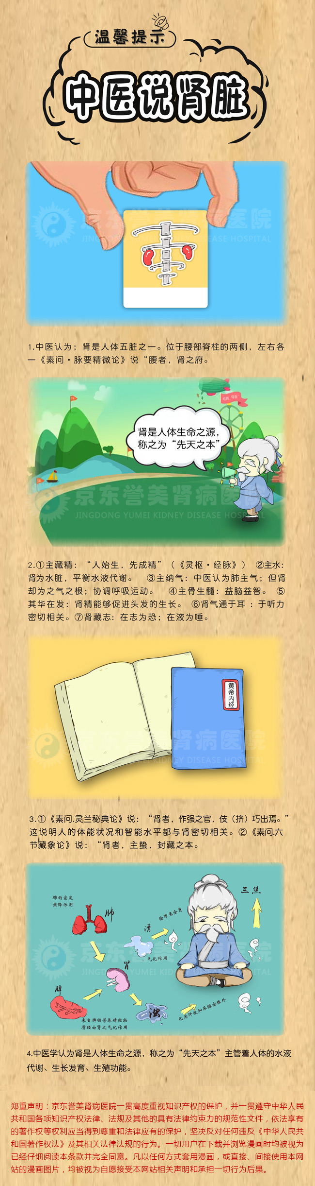 中医说肾脏