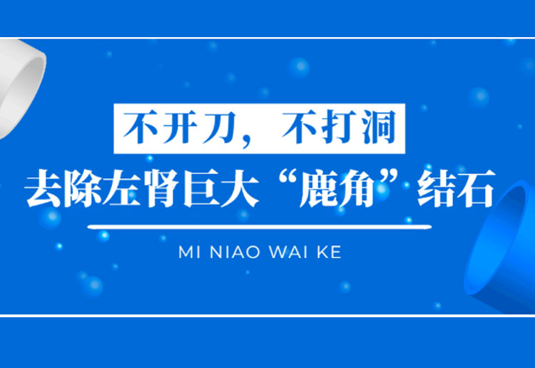 【临床案例】泌尿外科碎石取石——去除左肾巨大“鹿角”结石