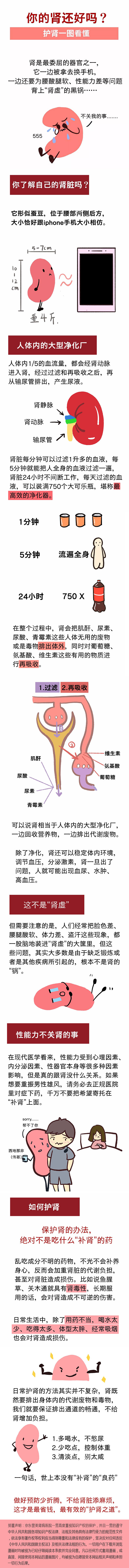 你的肾还好吗？护肾一图看懂